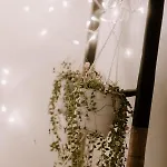 Casamia Гостевой дом
