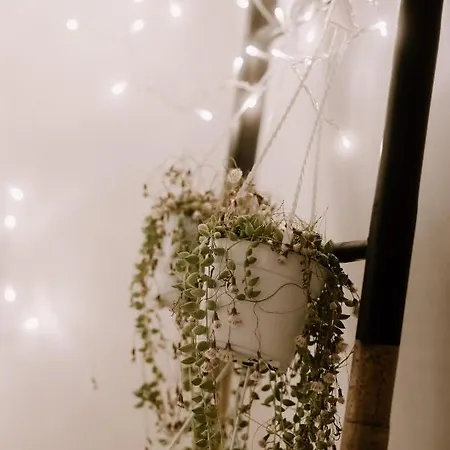 Casamia 招待所